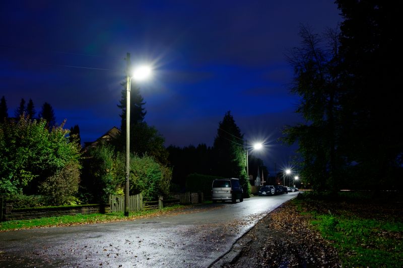 Path Lighting Installation
